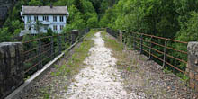 Treungenbanen
