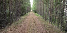 Treungenbanen