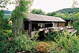 Nåtidsbilde 52
