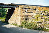 Nåtidsbilde 71