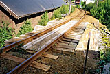 Nåtidsbilde 79