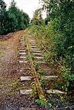 Nåtidsbilde 88
