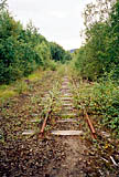 Nåtidsbilde 89